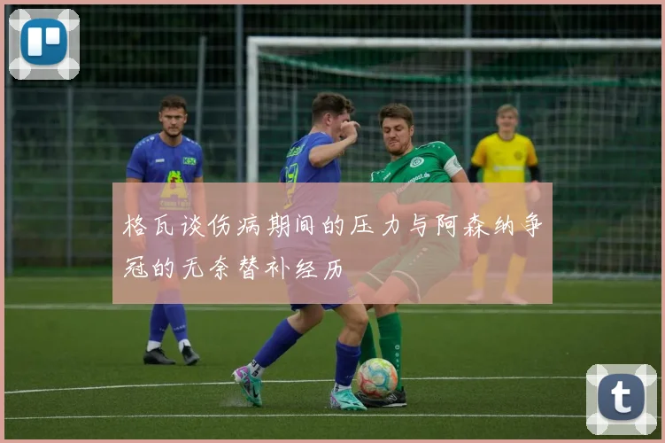 格瓦谈伤病期间的压力与阿森纳争冠的无奈替补经历