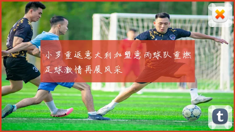 小罗重返意大利加盟意丙球队重燃足球激情再展风采